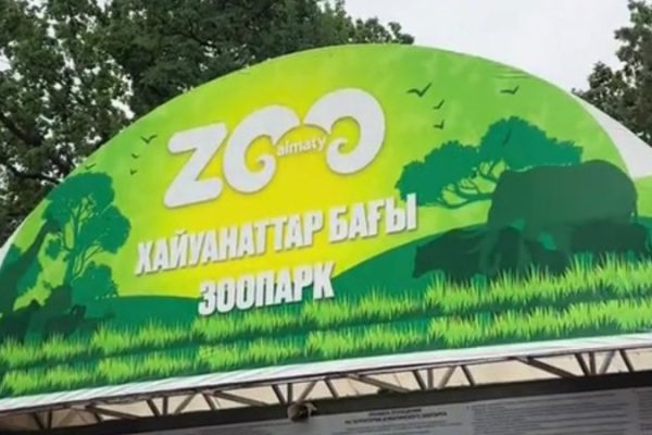 Полмиллиона штрафов: толпа людей в алматинском зоопарке зафиксирована на видео (3 июня 2025)