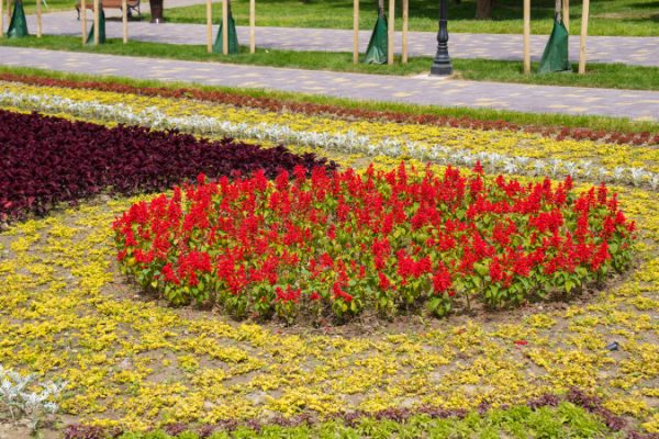 Когда спадет жара в Астане и Алматы: прогноз погоды от синоптиков на 18 июня 2025