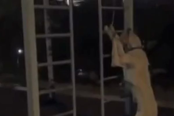 Жестокое обращение с тазы в Алматы: горожане требуют наказания