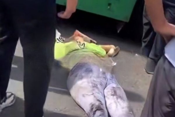 В Алматы женщина погибла под колесами автобуса: подробности происшествия