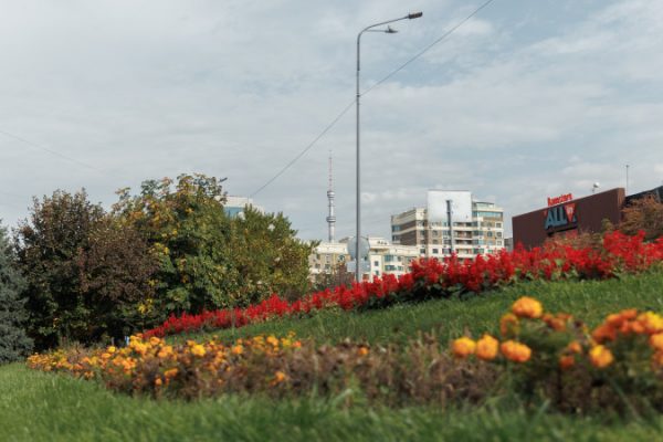 Жителям Алматы поступило оповещение о землетрясении: 23 октября 2025, 12:23