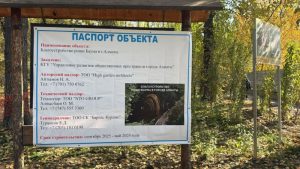 BAZIS-A окажет содействие в восстановлении рощи Баума
