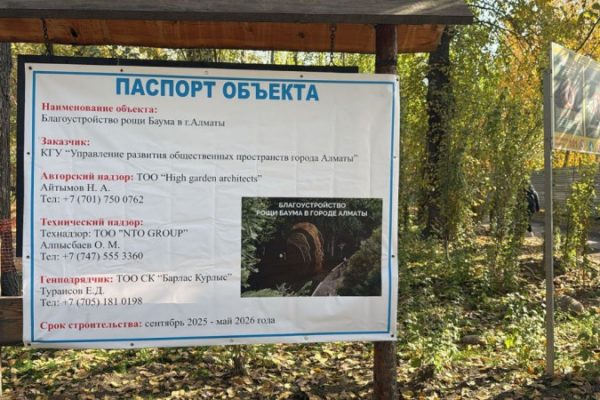 BAZIS-A окажет содействие в восстановлении рощи Баума