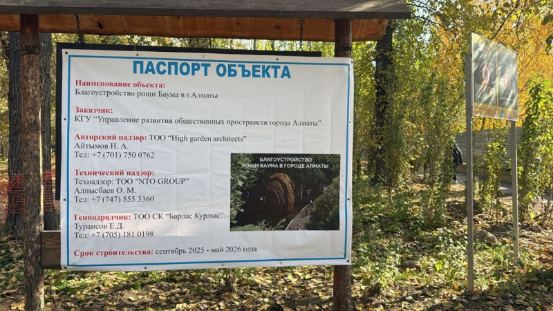 BAZIS-A окажет содействие в восстановлении рощи Баума