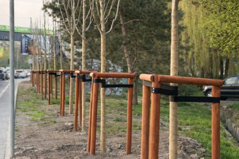 В Медеуском районе Алматы увеличивают объемы озеленения и развивают систему автополива