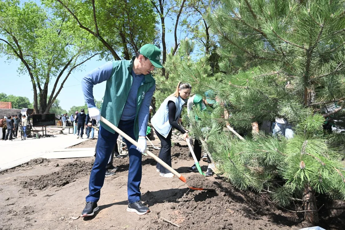 55 мыңнан астам алматылық сенбілікке шықты: 700 ағаш отырғызылды