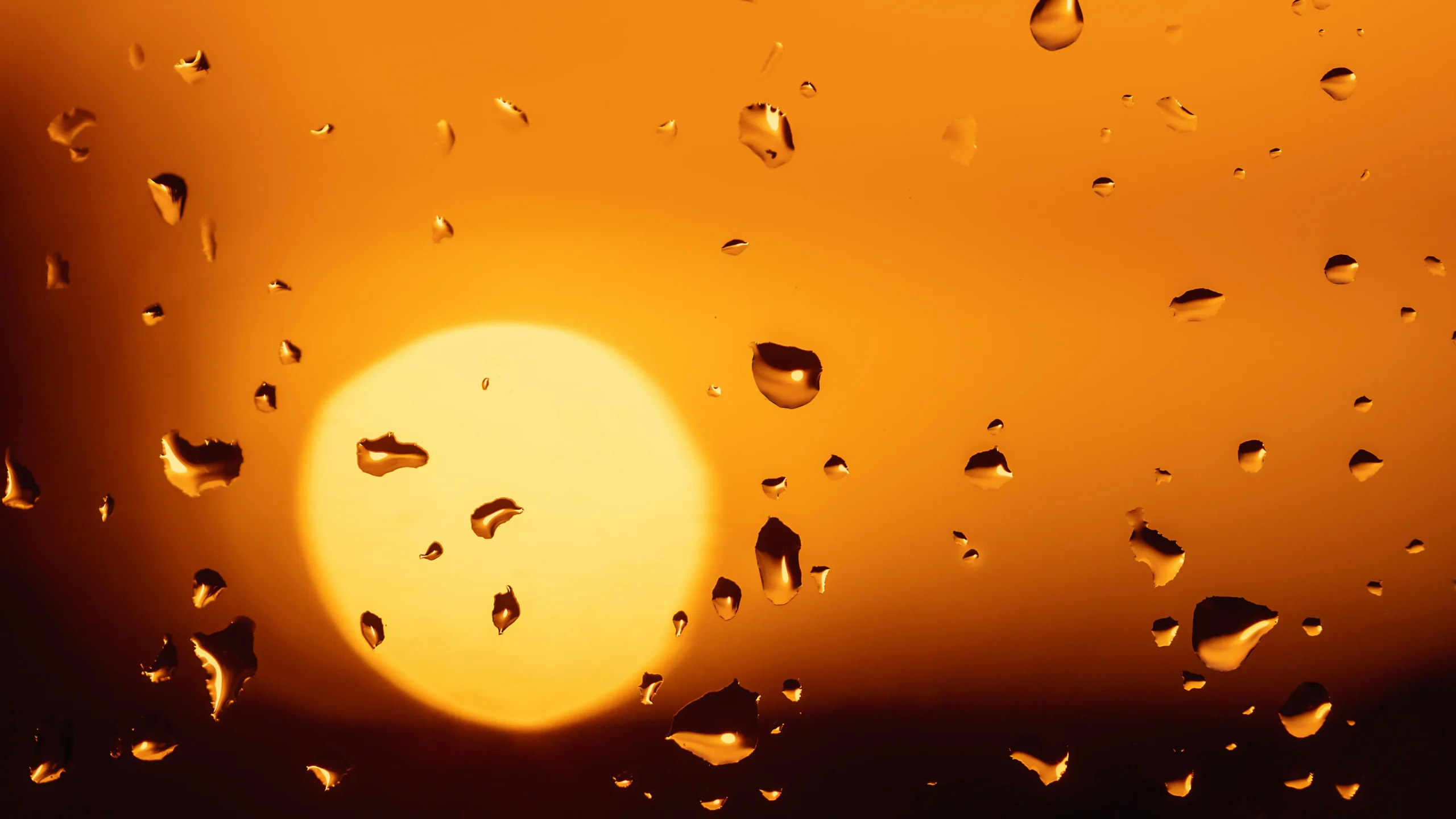 Алматыда ауа 29°C-қа дейін жылиды, жаңбыр тоқтайды: 5-7 мамырға ауа райы болжамы