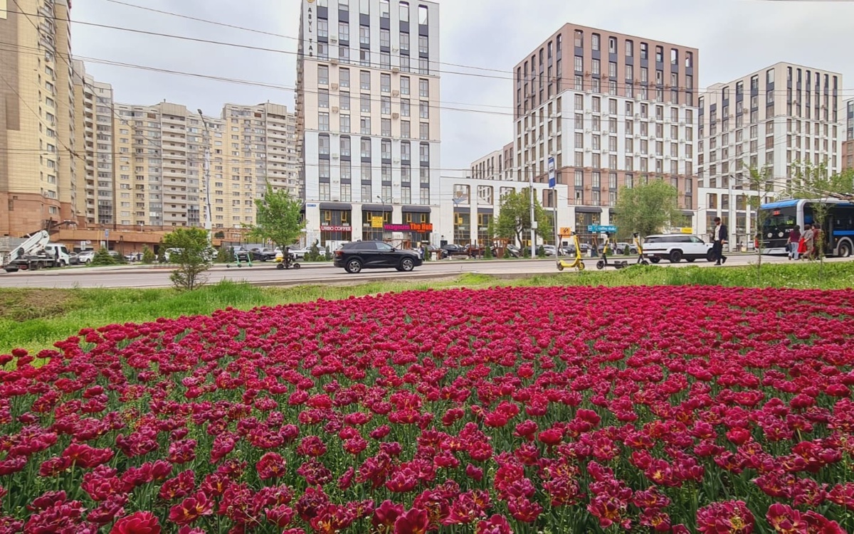 Уикенд в Алматы 16-17 мая: SOLΛNA, концерты, театры и кино