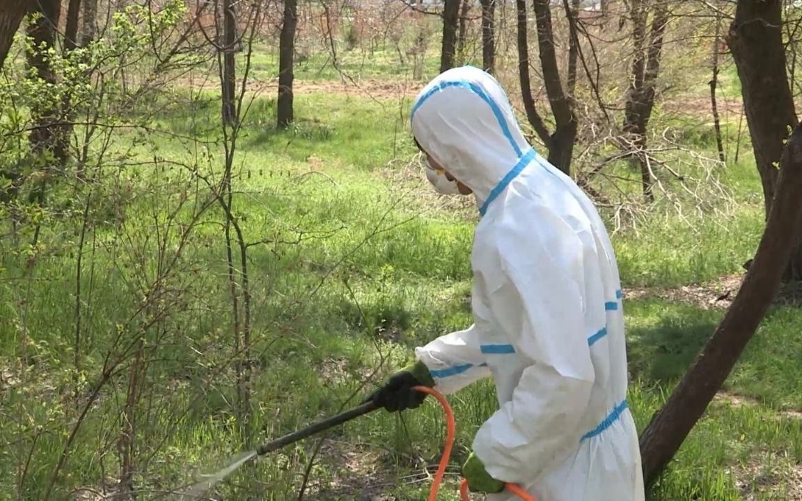 Число пострадавших от укусов клещей в Алматы выросло на 11% из-за раннего потепления