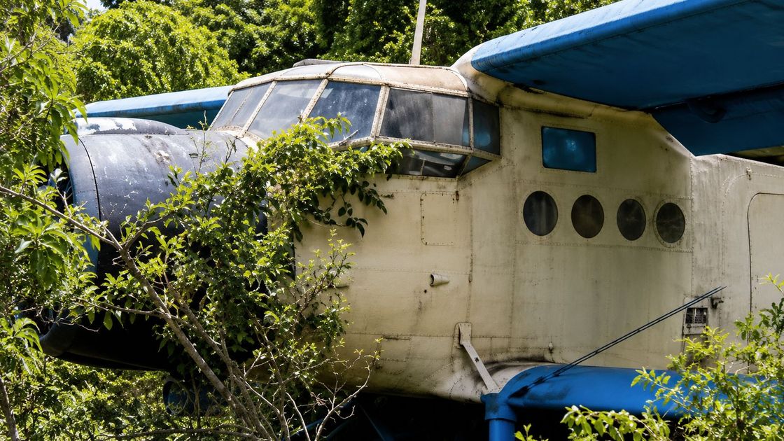 Алматы облысында Ан-2 бұталарға қонды: тергеу басталды