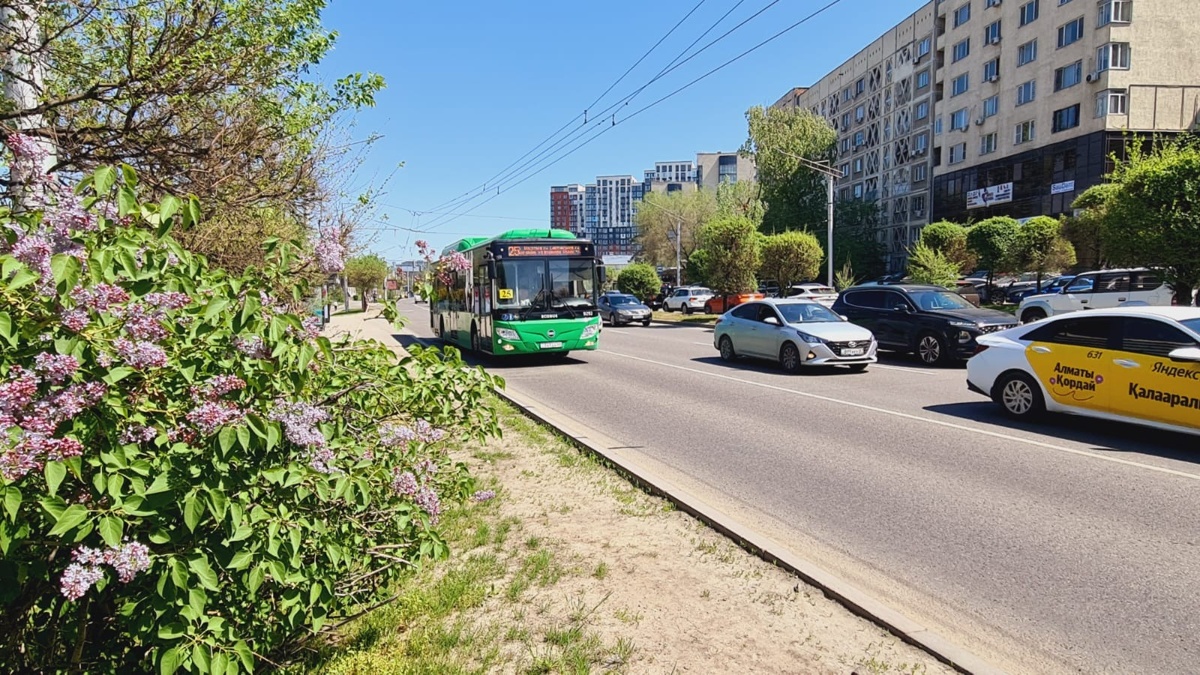 Алматыда бірнеше автобус бағыты уақытша өзгереді: 27 мамырдан бастап