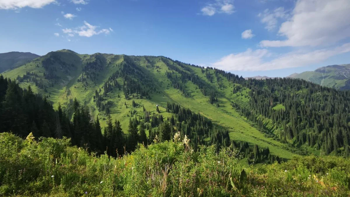 Экономист Тайжан: мифы о проекте Almaty Super Ski не имеют оснований