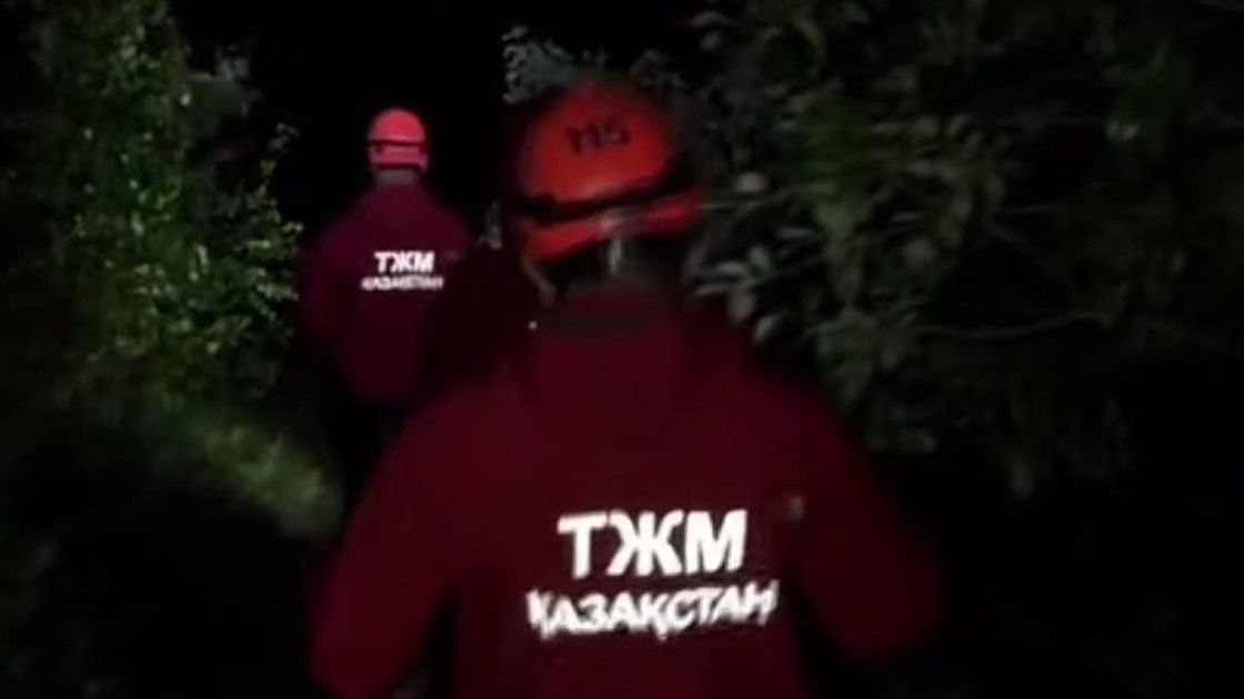 Алматыда тауда адасқан иран студенті: ұйықтап қалып, топтан қалып қойған