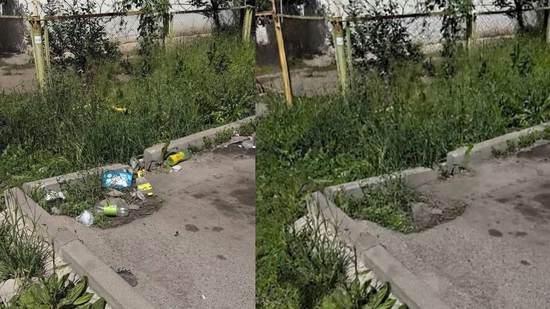 Алматыда қоқысты ИИ арқылы «тазалап», шенеунікті жұмыстан шығарды
