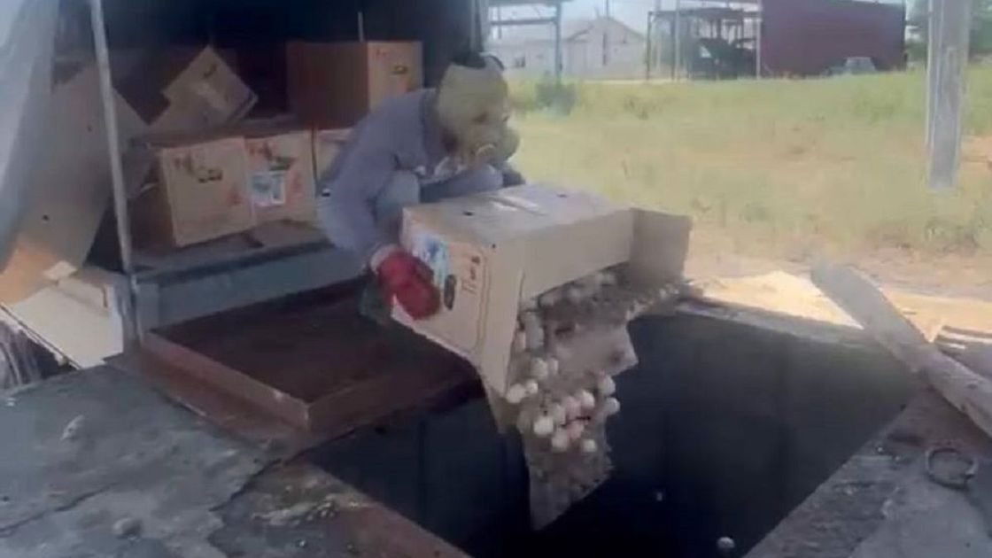 Более 13 тысяч опасных яиц изъяли на рынке «Барыс-IV» в Алматы