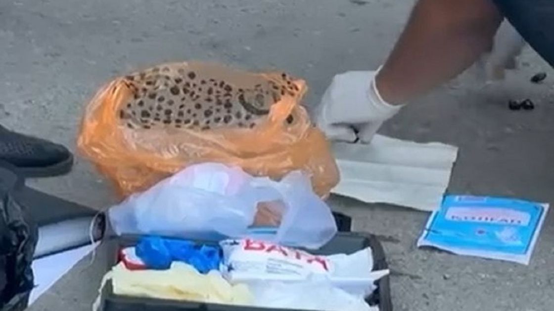Иностранец задержан в Таразе с наркотиками на 2,7 млн тенге после поездки в Алматы