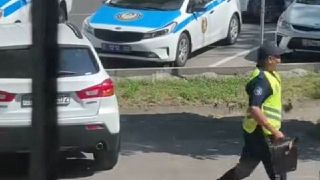 Бросала камни в полицейскую машину: нарушительницу задержали в Алматы