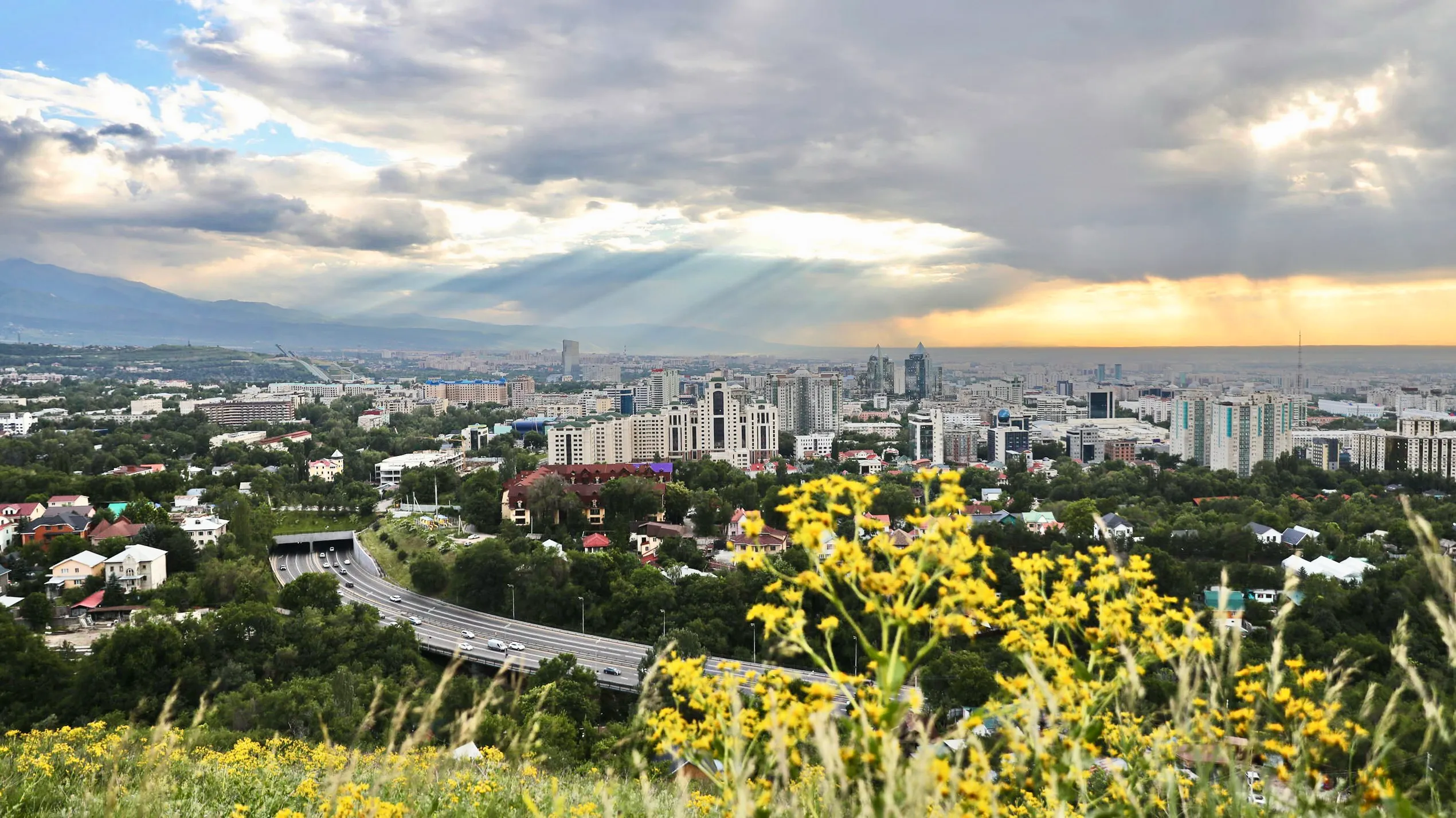 Алматыда апта бойы +36°C-қа дейін ыстық, кешке найзағай ойнайды
