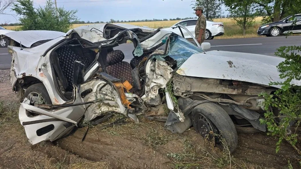 Два человека погибли в ДТП под Алматы: машину врезало в дерево