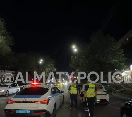 Крупную партию вейпов изъяли полицейские в Алматы