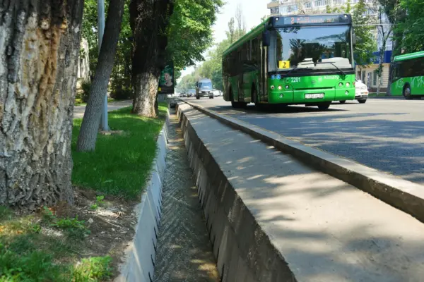 Алматы әкімдігі арықтар туралы ресми мәлімдеме жасады