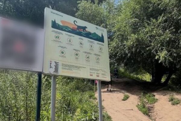 QR-коды на Кок-Жайлау: в нацпарке объяснили, за что нужно платить