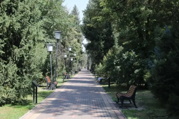 Алматыда Жамбыл мен Төлебаев көшелеріне 14 км автополив желісі төселді