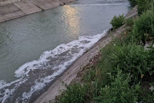 Жители Алматы сняли слив грязной воды в реку возле озера Сайран
