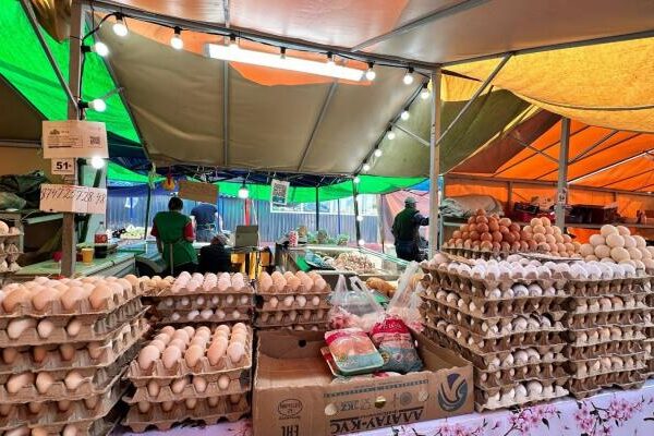 Почти 300 тонн мяса и овощей: где в Алматы пройдут ярмарки выходного дня