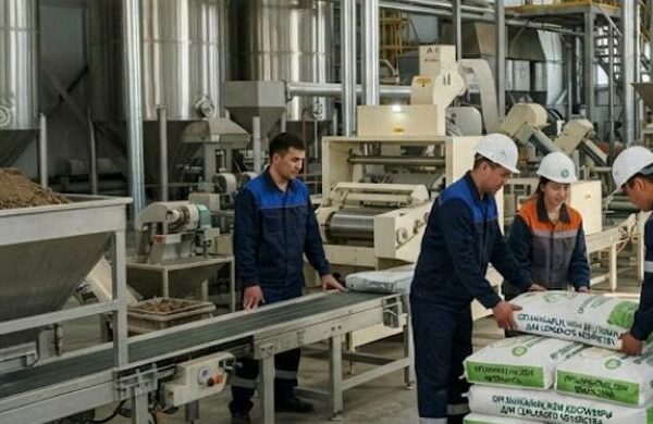 Права инвестора в Алматы восстановлены после вмешательства прокуратуры
