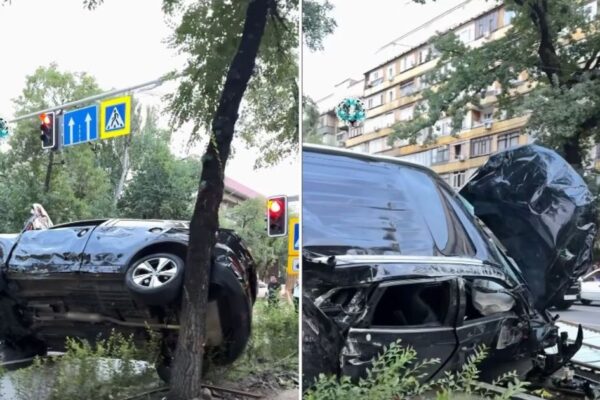 Кроссовер Changan «повис» на дереве после вылета с дороги в Алматы