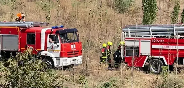 В Алатауском районе Алматы тушили сухостой: под угрозой были 8 домов