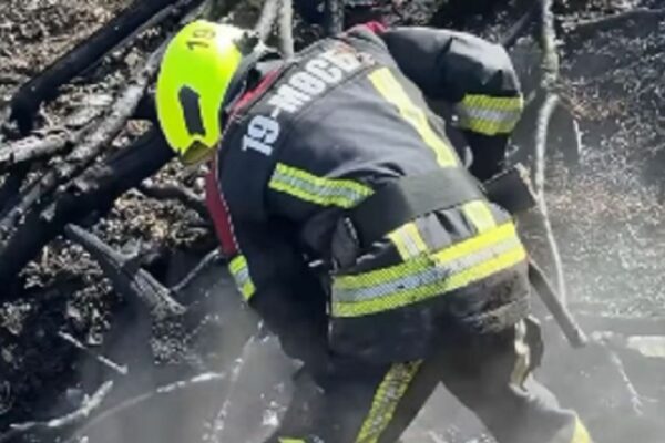 Сухостой загорелся в Алматы: огонь угрожал 14 строениям