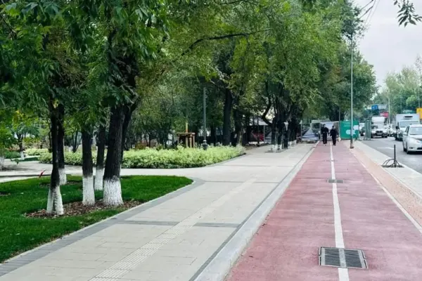 В Алматы появится 17 км велодорожек: реконструкция восьми улиц и парка