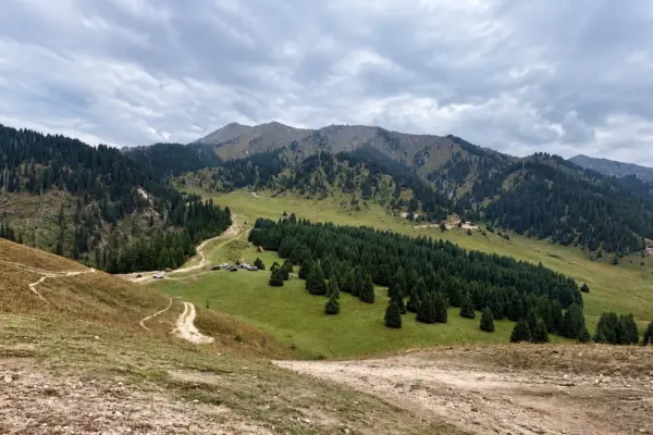 Застройщик Almaty SuperSki ответил на обвинения в уничтожении яблонь Сиверса