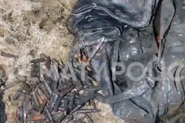 Алматыдағы Әуежай көлінен қармақшы оқ дәрісі бар сөмке шығарып алды