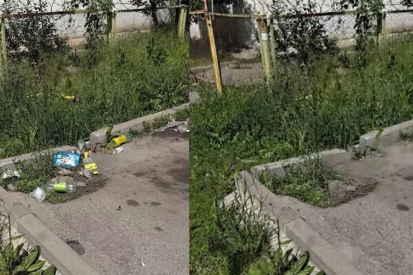 В Минцифры прокомментировали действия сотрудника акимата Алматы с ИИ
