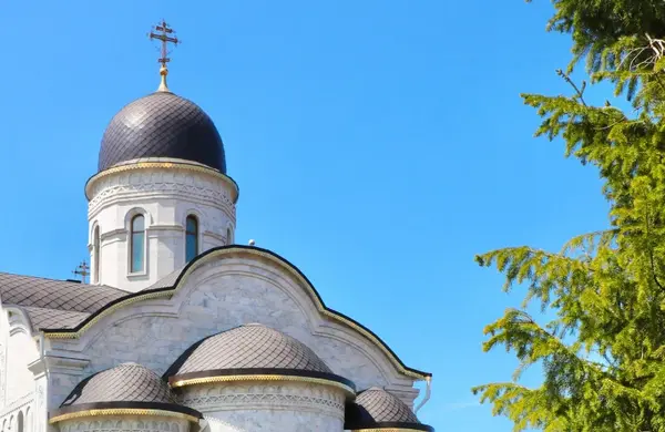Алматыға әулиелердің мощелері бар «Пошехонский крест» әкелінеді