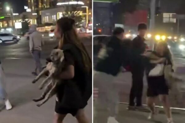 В Алматы женщина швырнула собаку в прохожего: полиция ведёт проверку