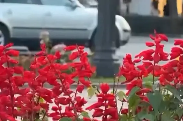 Алматының көгалдандыру тәжірибесі Бішкекте қолданылады