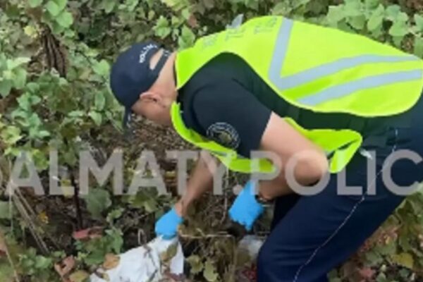 В горах Алматы нашли ружьё и пистолет: полиция отправила находку на экспертизу