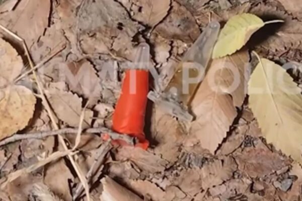 Алматыда патрульдіктерден қашпақ болған 26 жастағы жігіт ұсталды