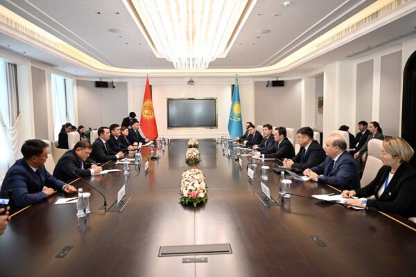 Қазақстан ТүркПА елдеріне ортақ Цифрлық кодекс әзірлеуді ұсынды