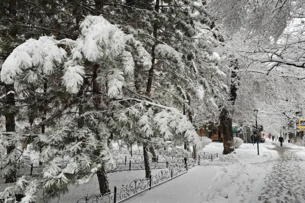 Заморозки до -5°С и снег: прогноз погоды для Астаны, Алматы и Шымкента