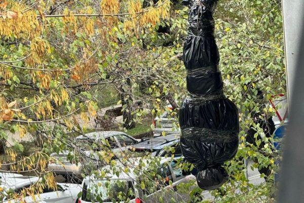 Абай даңғылындағы мейрамхана жанындағы қорқынышты декорация тұрғындарды үркітті